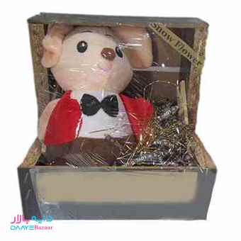 تصویر جعبه یا باکس هدیه نوزاد عروسک موش کد۰۶