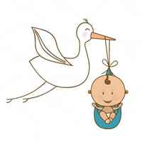 تصویر دسته بندی قنداق ساده و زیپدار