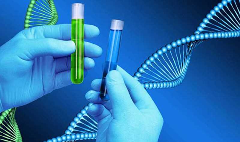 چه ژنهایی را از مادر و پدر به ارث می‌بریم؟